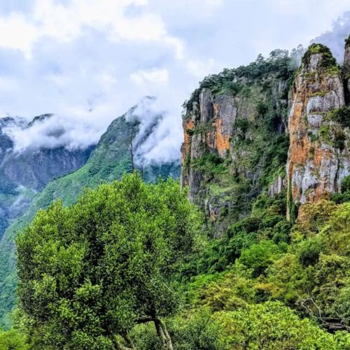 Kodaikanal